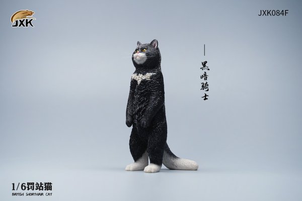 British Shorthair Cat (JXK084) 1/6