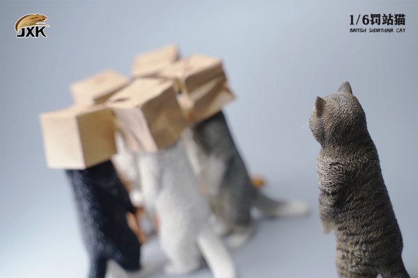 British Shorthair Cat (JXK084) 1/6