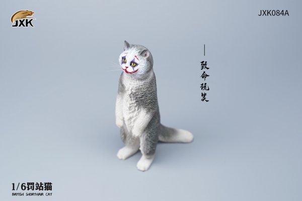 British Shorthair Cat (JXK084) 1/6