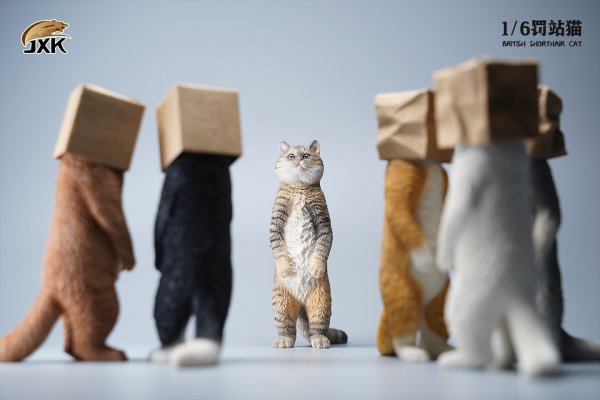 British Shorthair Cat (JXK084) 1/6
