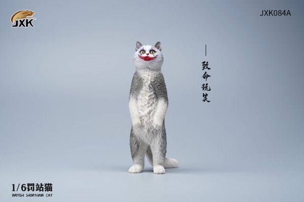 British Shorthair Cat (JXK084) 1/6