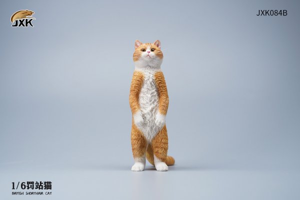 British Shorthair Cat (JXK084) 1/6