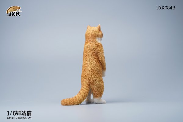 British Shorthair Cat (JXK084) 1/6