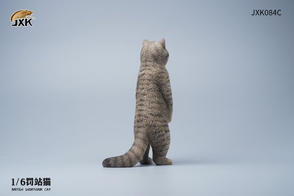 British Shorthair Cat (JXK084) 1/6