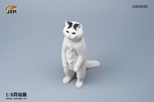 British Shorthair Cat (JXK084) 1/6