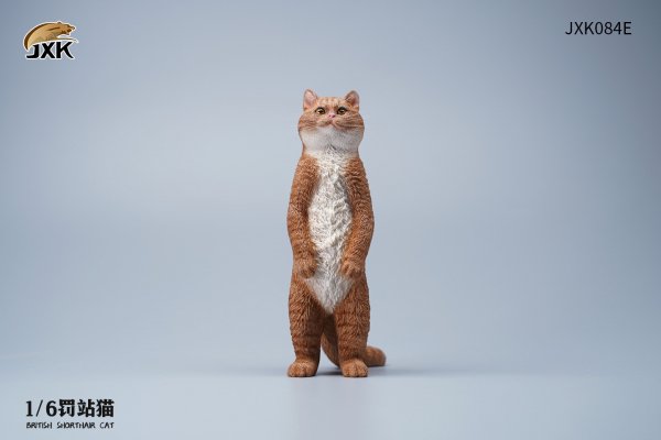 British Shorthair Cat (JXK084) 1/6