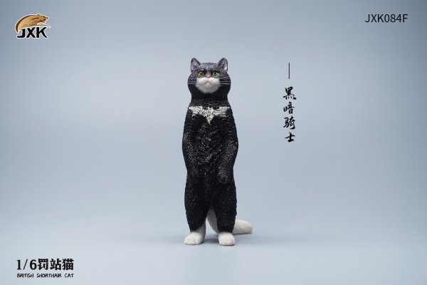 British Shorthair Cat (JXK084) 1/6