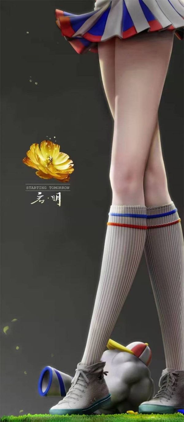 Football Babe Nami – One Piece