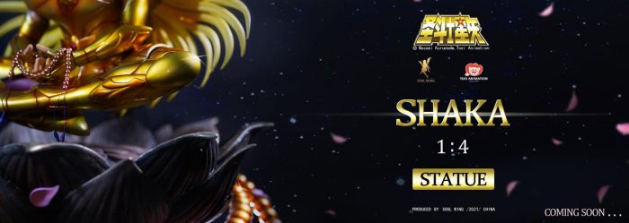 Virgo Shaka - Saint Seiya 1/4