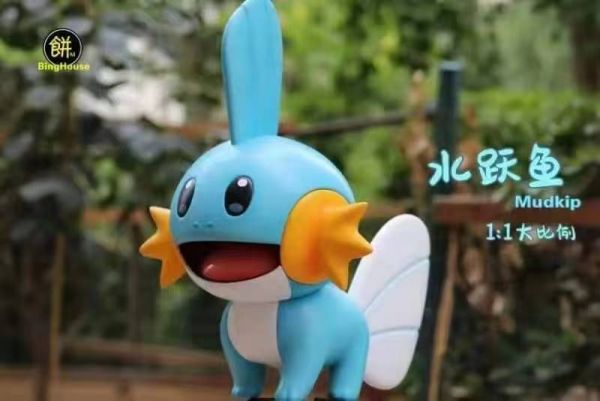 Mudkip - Pokemon 1/1