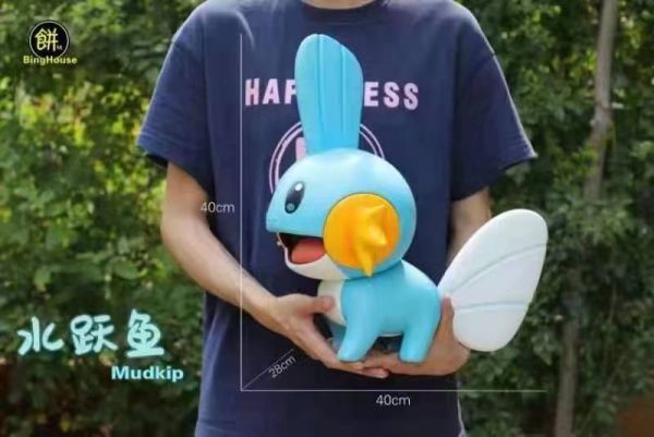 Mudkip - Pokemon 1/1