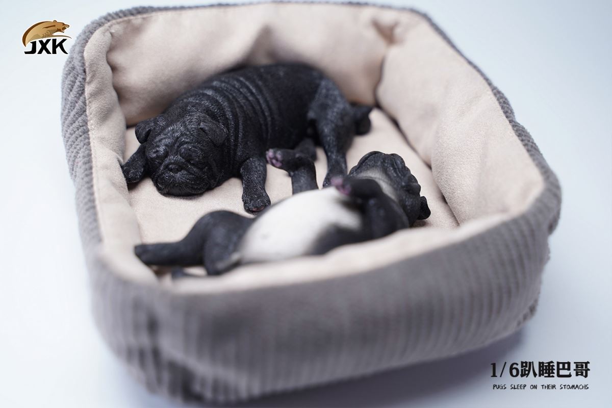 Sleeping Pug (JXK085) 1/6
