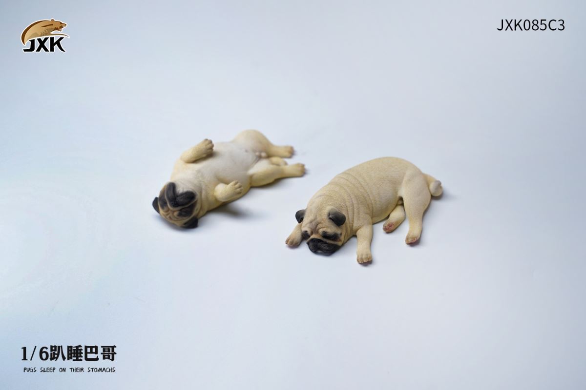 Sleeping Pug (JXK085) 1/6