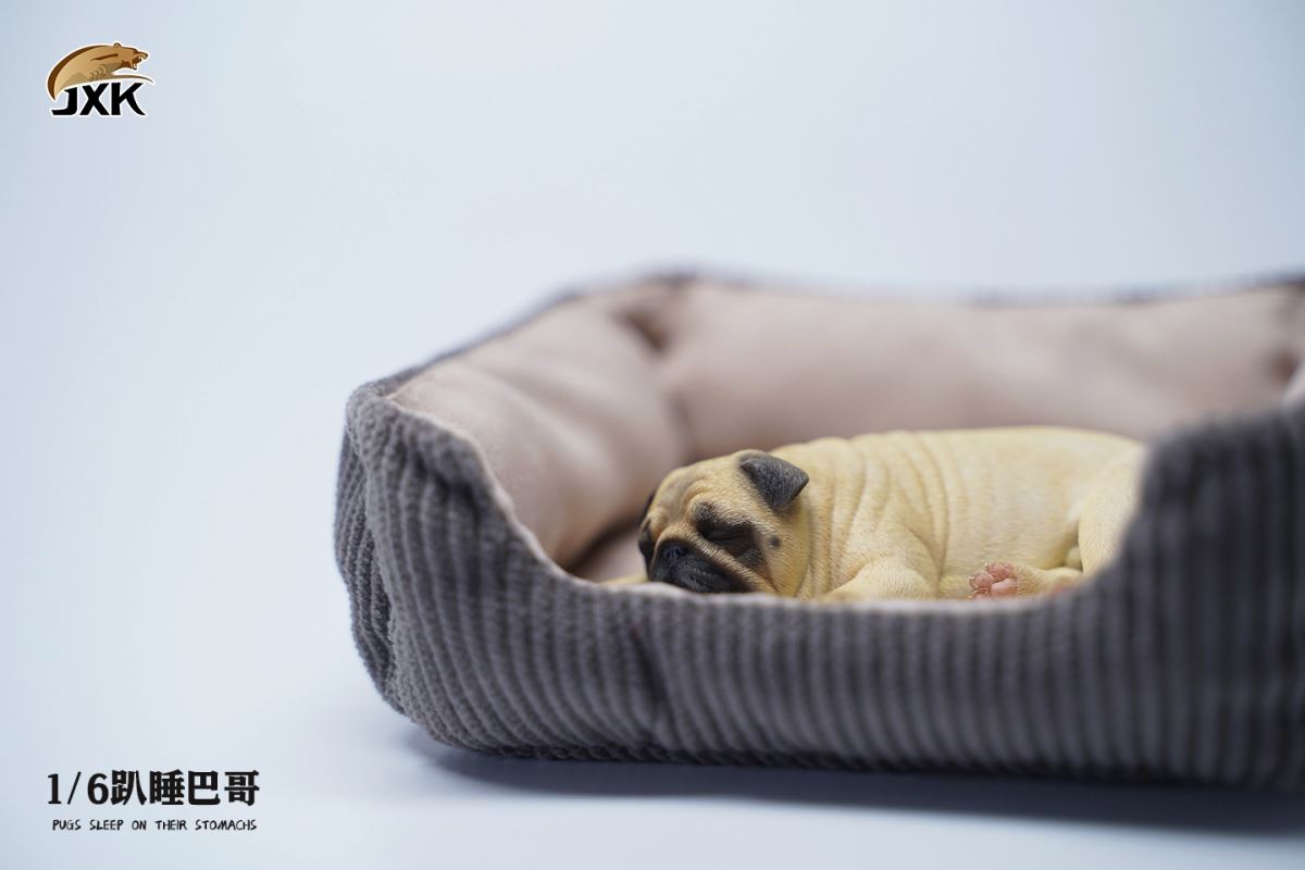 Sleeping Pug (JXK085) 1/6