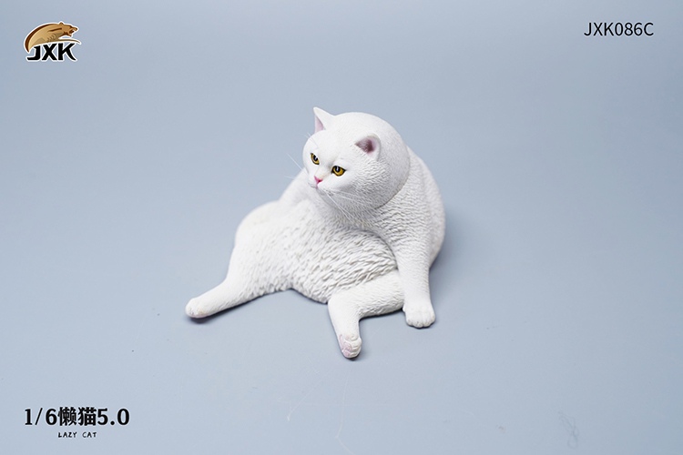Lazy Cat 5.0 1/6