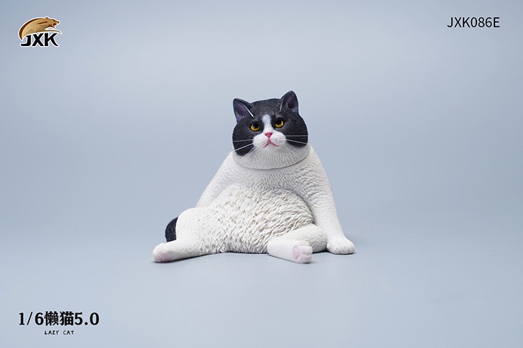 Lazy Cat 5.0 1/6