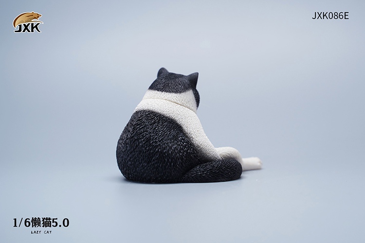 Lazy Cat 5.0 1/6