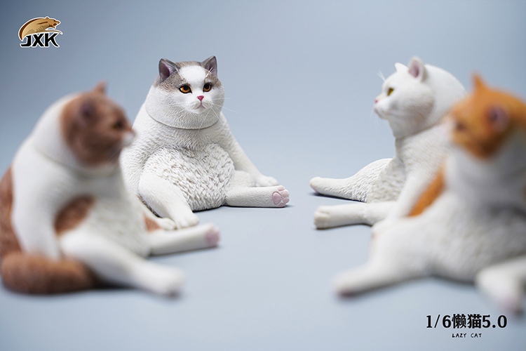 Lazy Cat 5.0 1/6