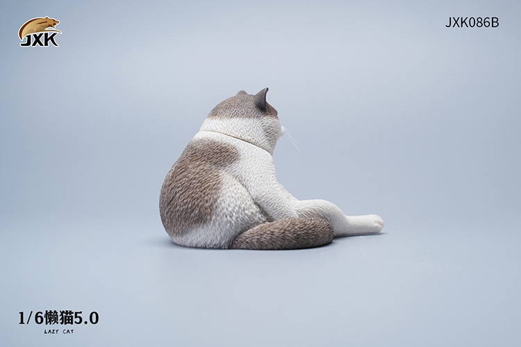 Lazy Cat 5.0 1/6