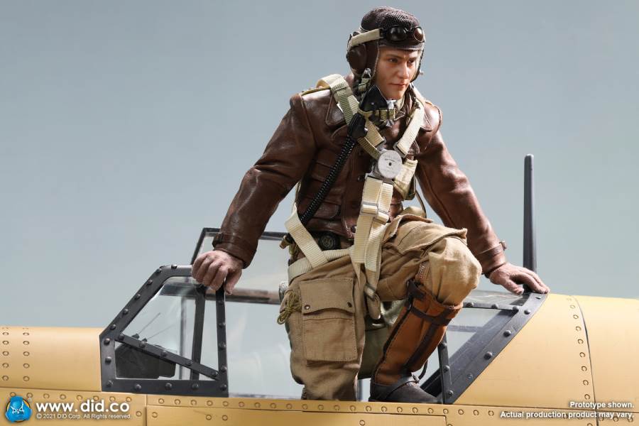 World War II ace pilot African Star  -Marseiu & Scene