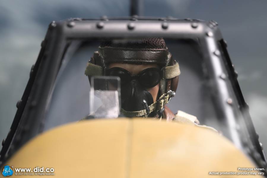 World War II ace pilot African Star  -Marseiu & Scene
