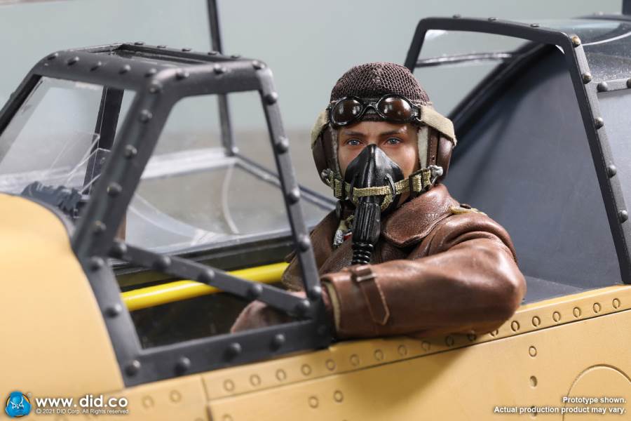 World War II ace pilot African Star  -Marseiu & Scene