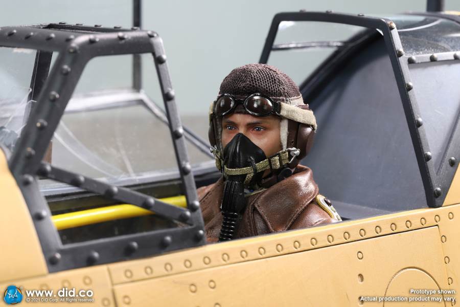 World War II ace pilot African Star  -Marseiu & Scene