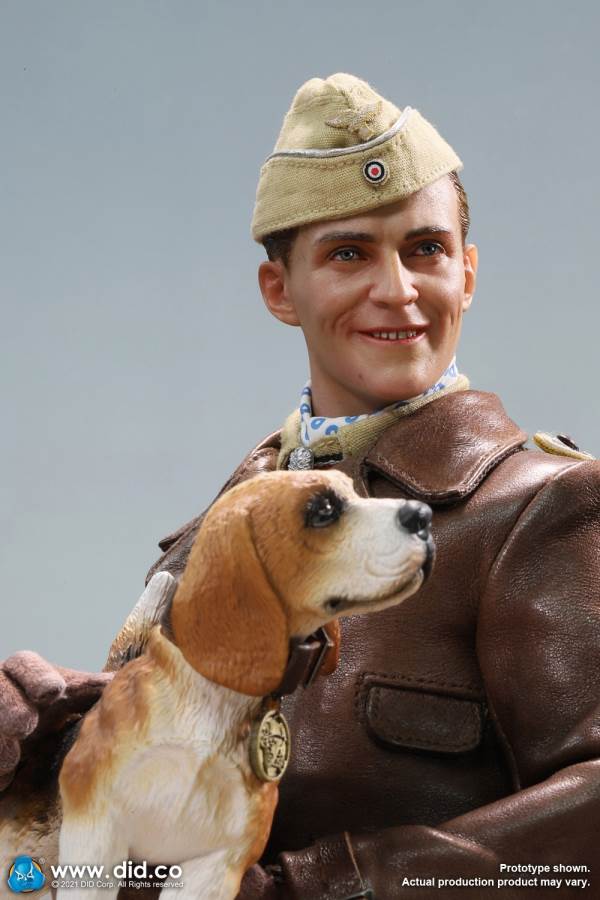 World War II ace pilot African Star  -Marseiu & Scene