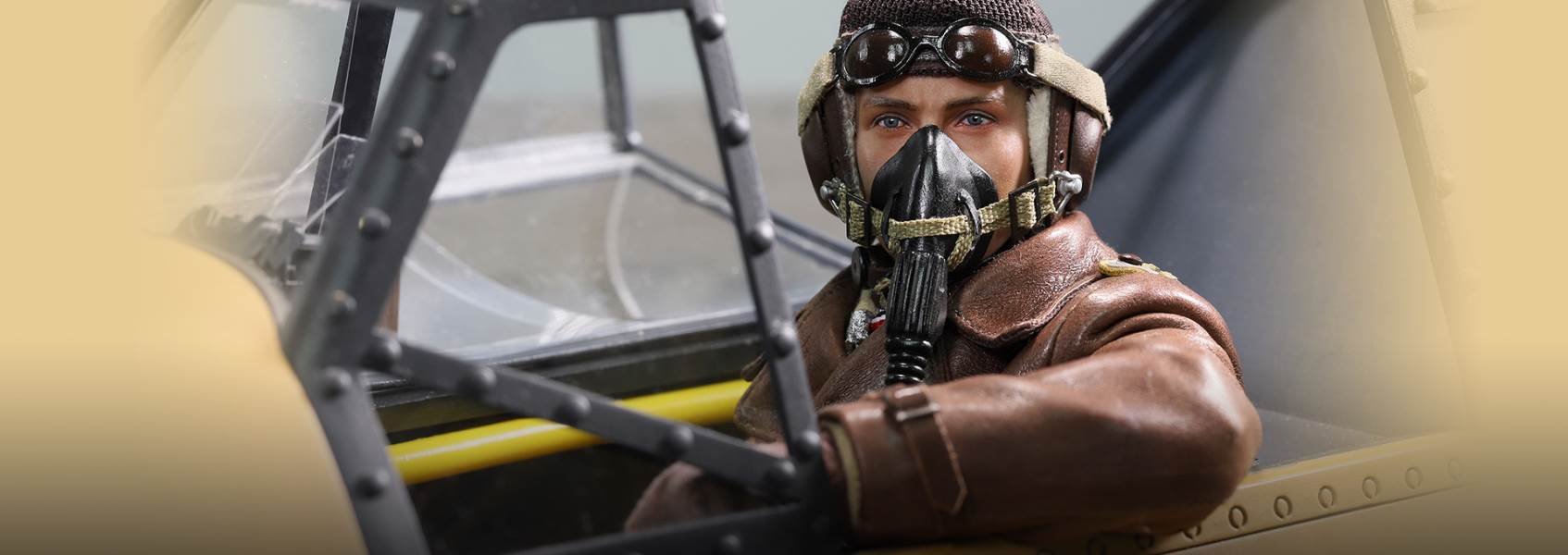 World War II ace pilot African Star  -Marseiu & Scene