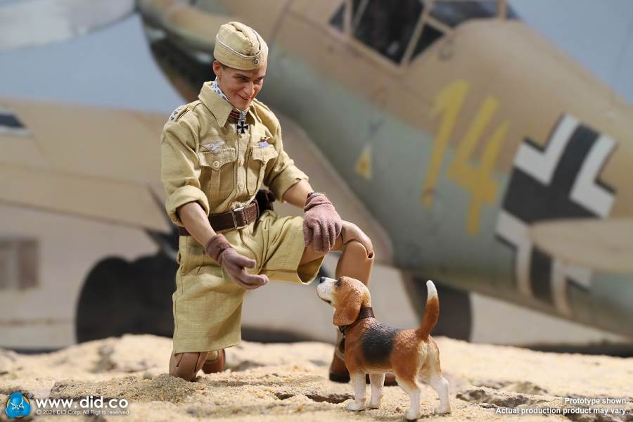 World War II ace pilot African Star  -Marseiu & Scene