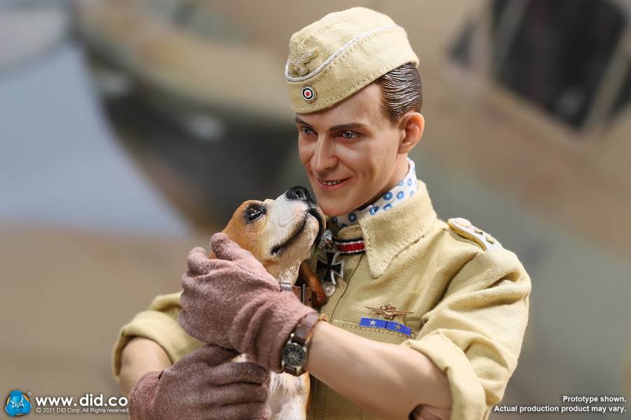 World War II ace pilot African Star  -Marseiu & Scene