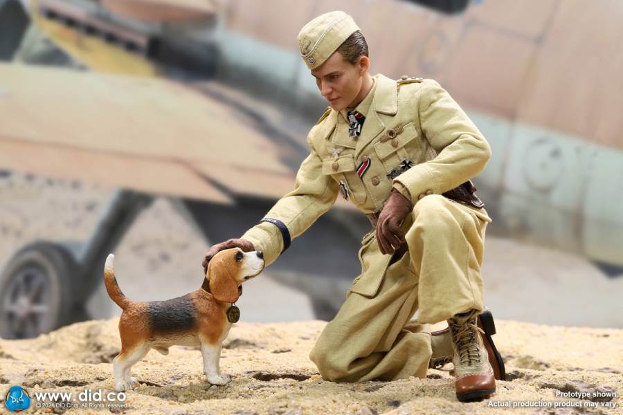 World War II ace pilot African Star  -Marseiu & Scene