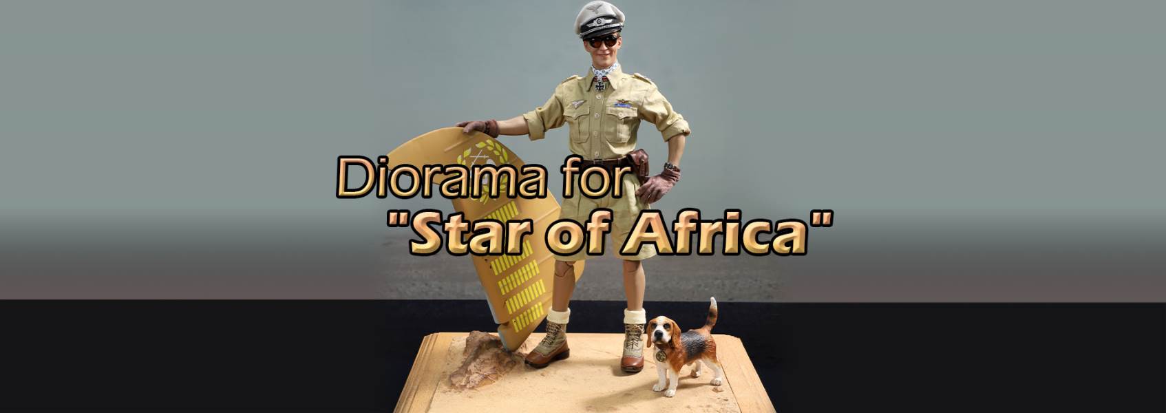 World War II ace pilot African Star  -Marseiu & Scene