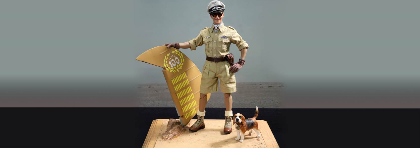 World War II ace pilot African Star  -Marseiu & Scene