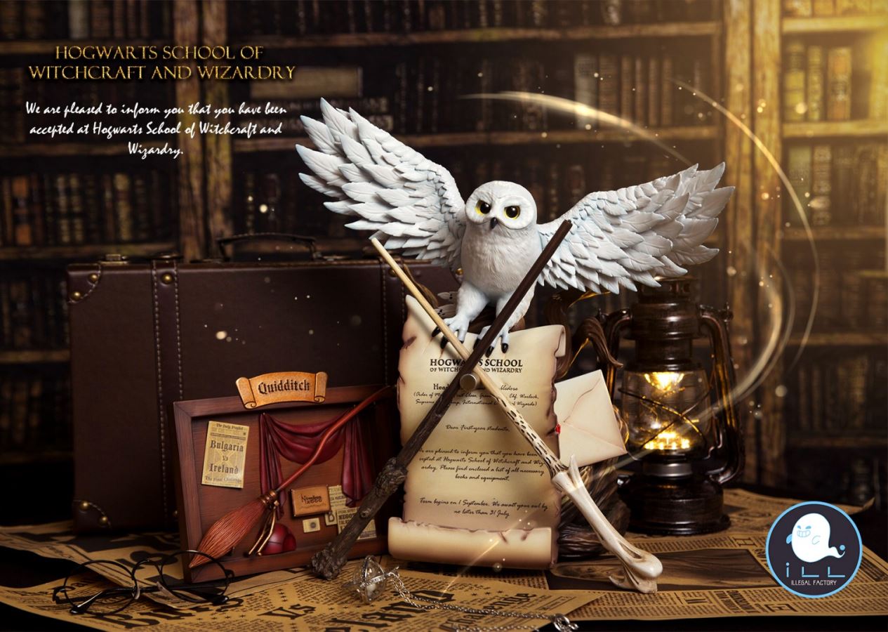 Admission notice - Harry Potter