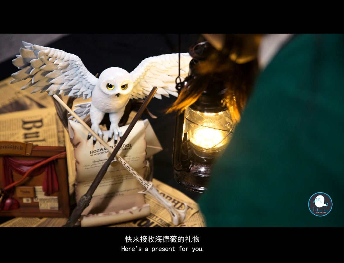 Admission notice - Harry Potter