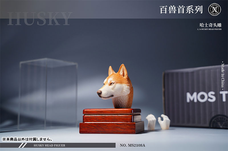 Head Husky A 1/6