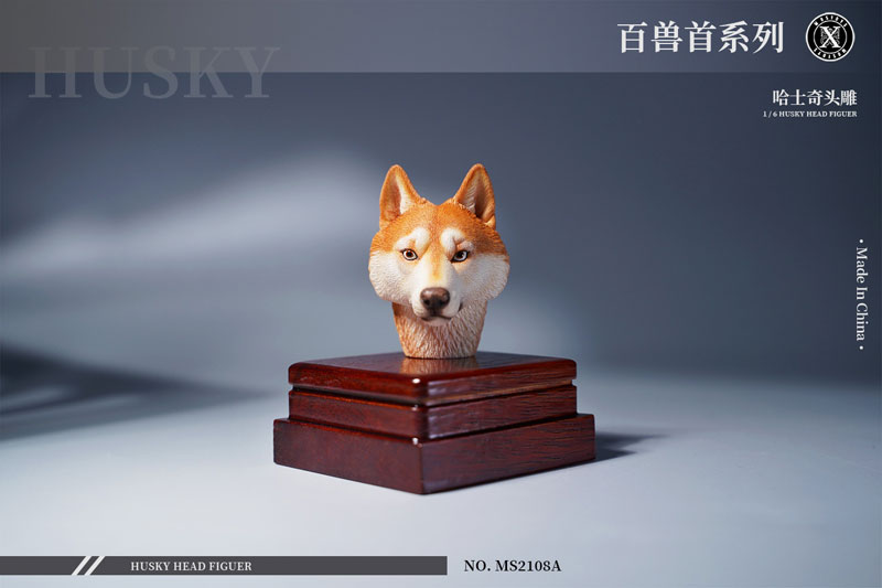 Head Husky A 1/6