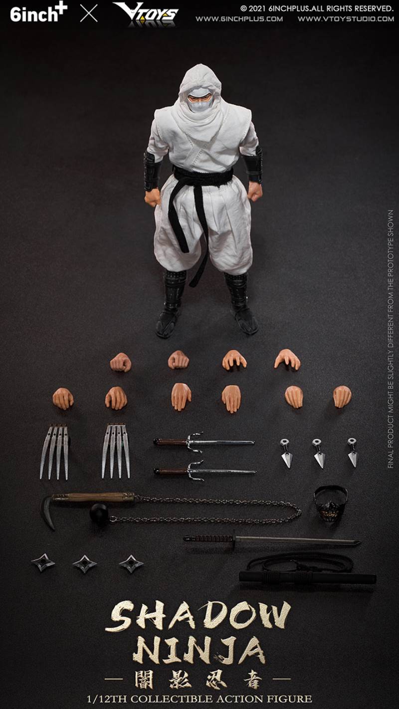 Shadow Ninja 1/12