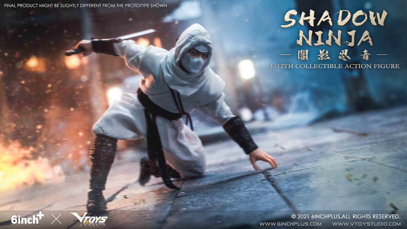 Shadow Ninja 1/12