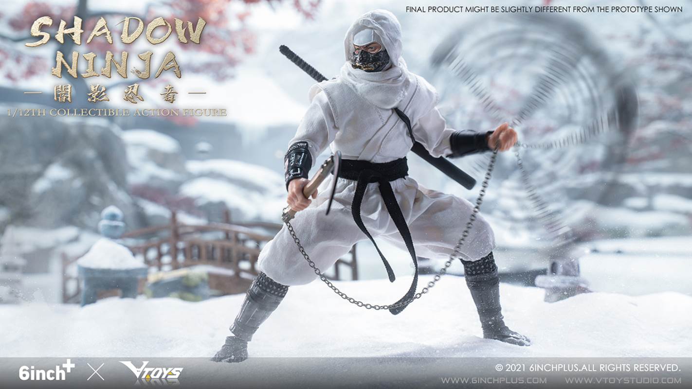 Shadow Ninja 1/12