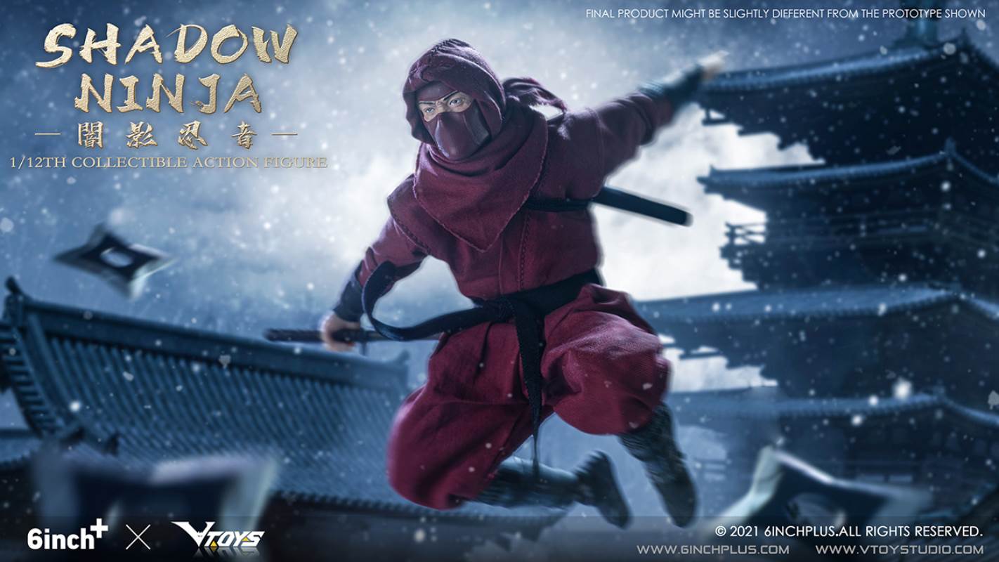 Shadow Ninja 1/12