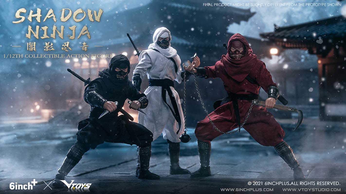 Shadow Ninja 1/12