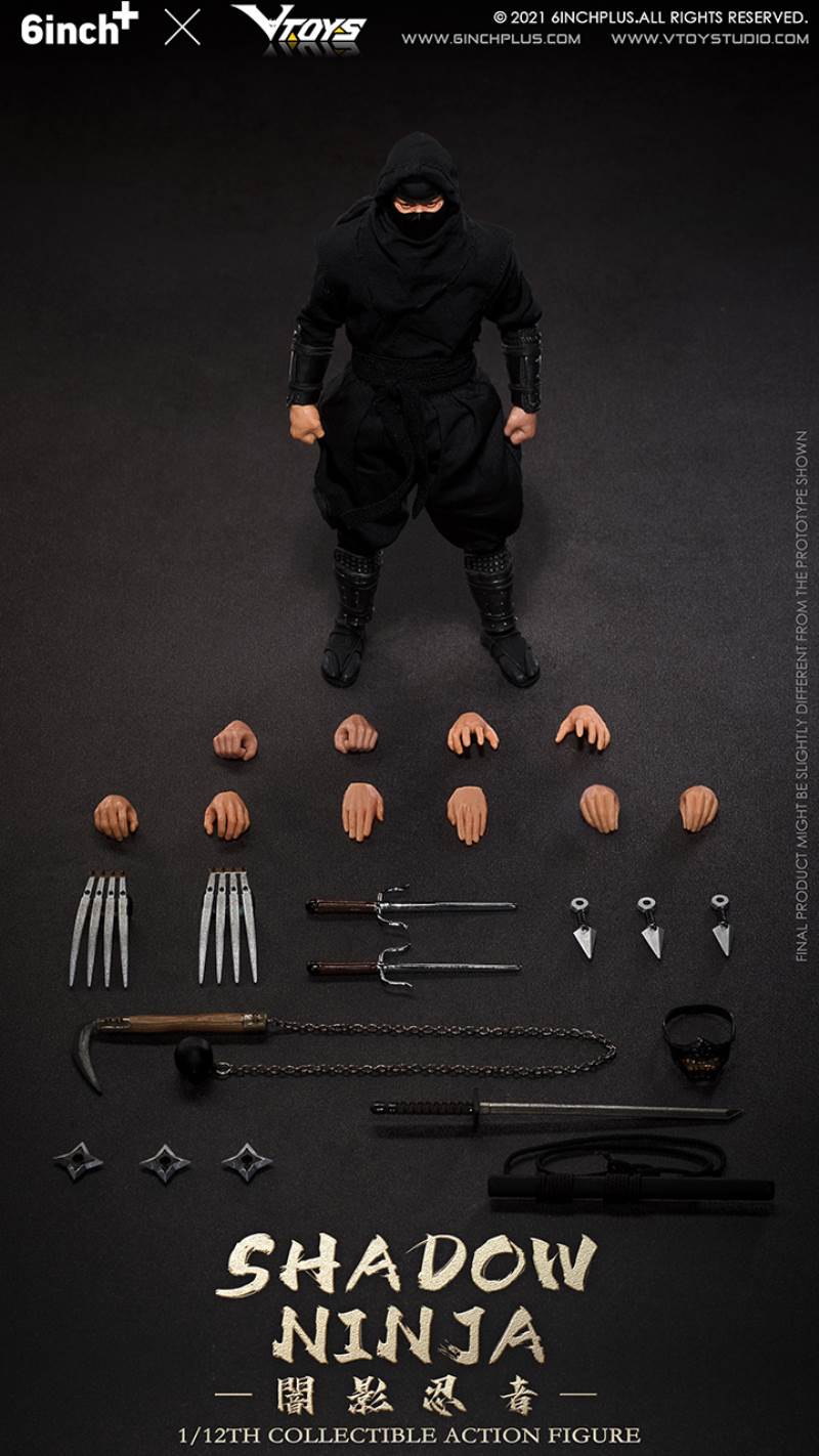 Shadow Ninja 1/12