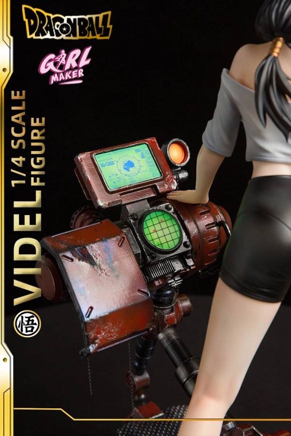 Videl - Dragon Ball 1/4
