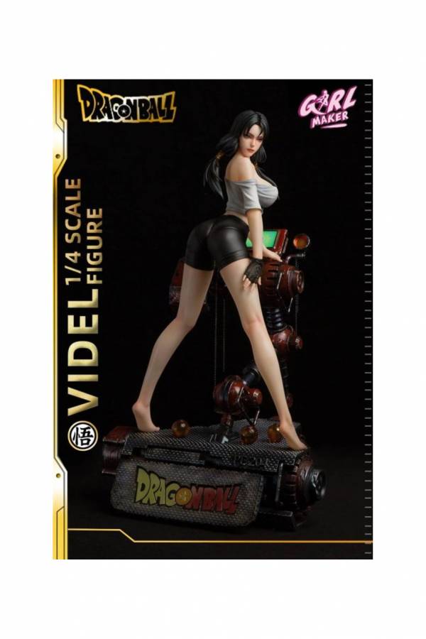 Videl - Dragon Ball 1/4