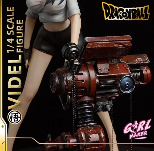Videl - Dragon Ball 1/4
