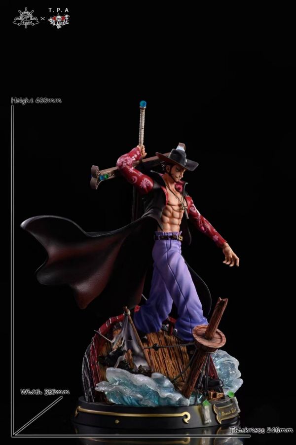 Swordsman Hawkeye Mihawk