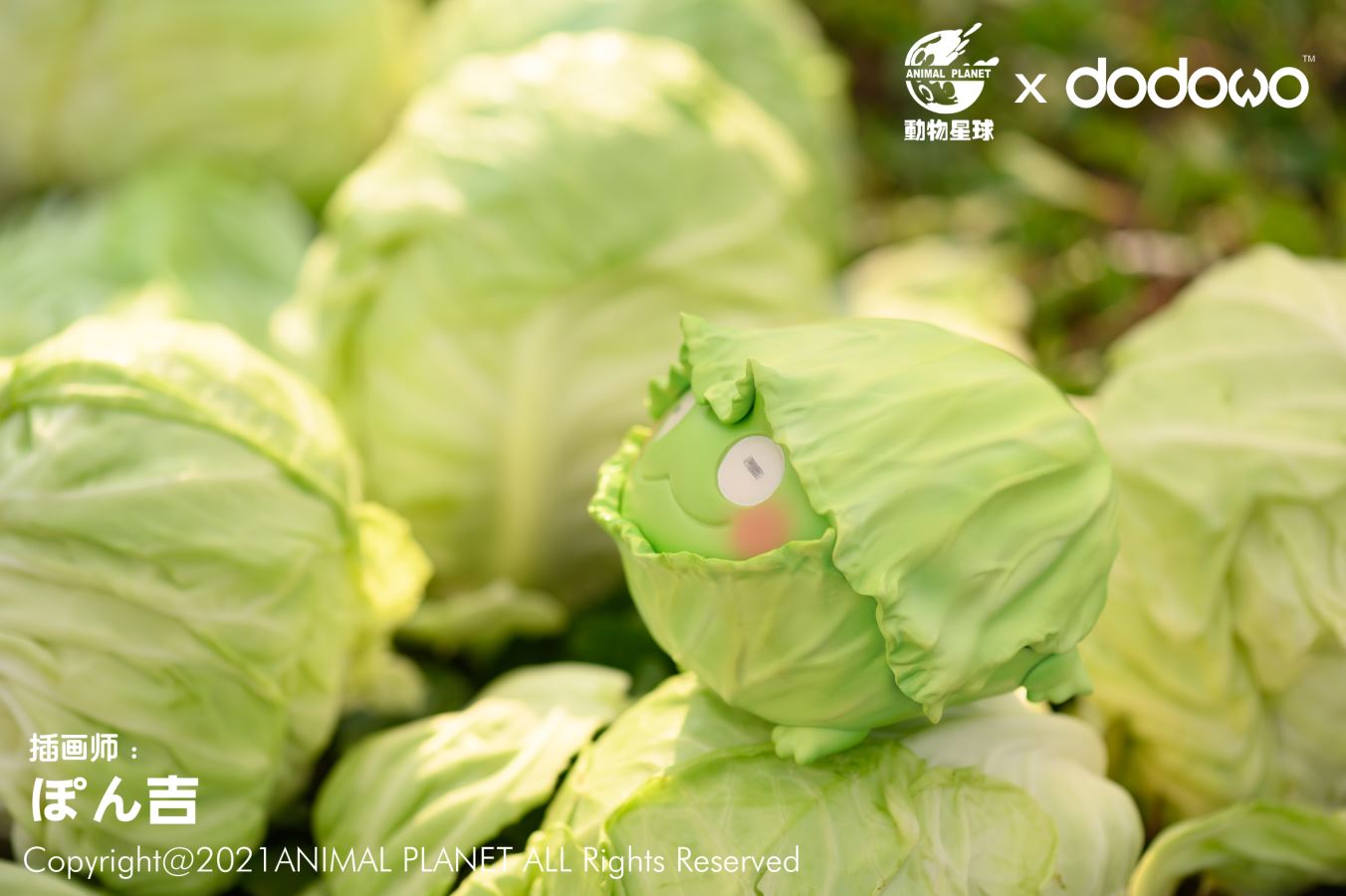 Cabbage Frog *Original artist works