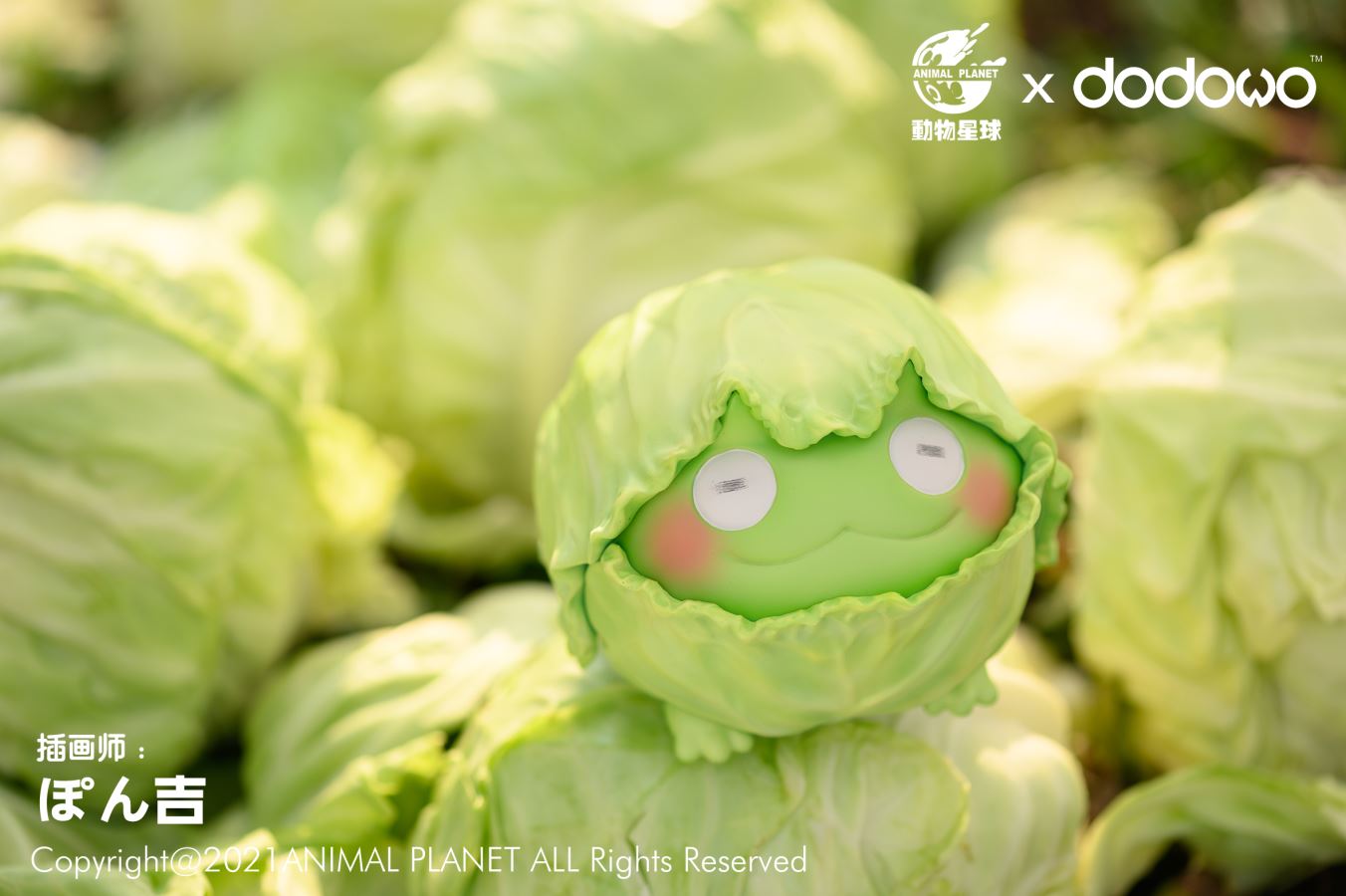 Cabbage Frog *Original artist works